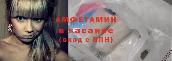 spice Богородск