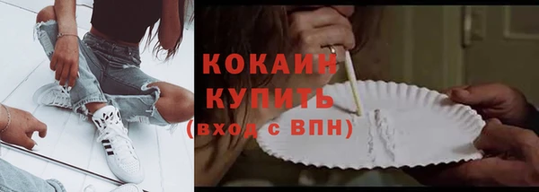 spice Богородск