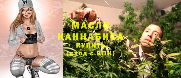 spice Богородск