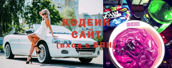 spice Богородск