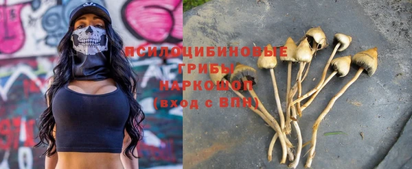 spice Богородск